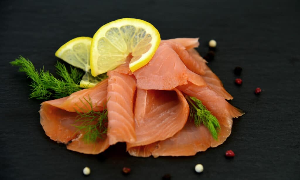 Can Dogs Eat Smoked Salmon? What You Need to Know