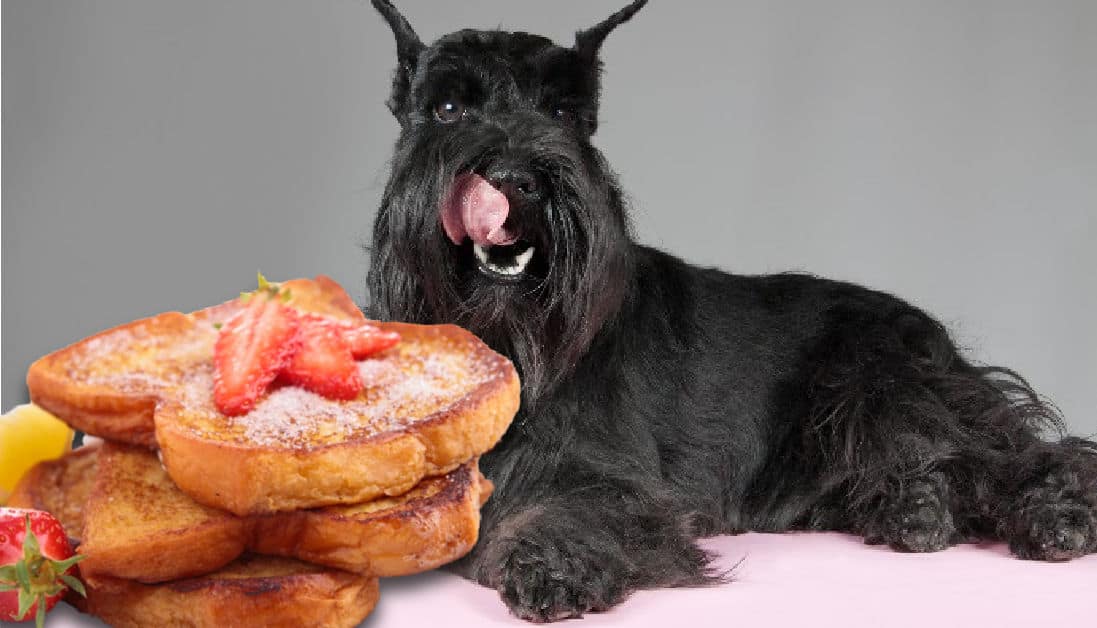 Can Dogs Eat French Toast? Breakfast Foods and Canine Health - Canine Breakfast Ideas With Fruit And Herb Blends