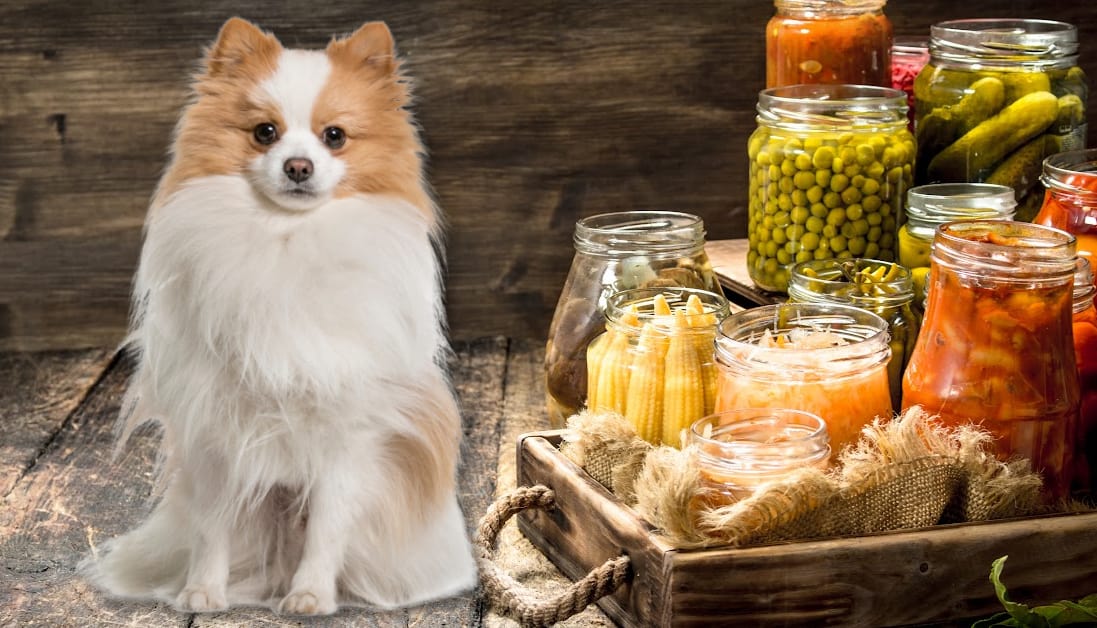 Image showcasing Can Dogs Eat Canned Vegetables? Vegging Out the Healthy Way